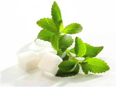stevia
