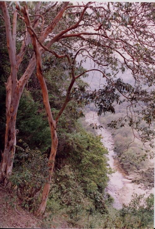 sierra-n-nabusimaque