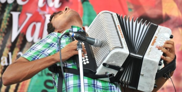 Acordeonero en acción