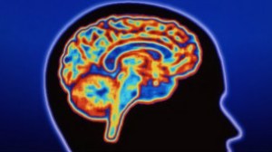 La estimulación cerebral que produce el orgasmo tiene muchos beneficios según Komisaruk.