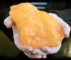 mypetfat-Image-courtesy-mypetfat