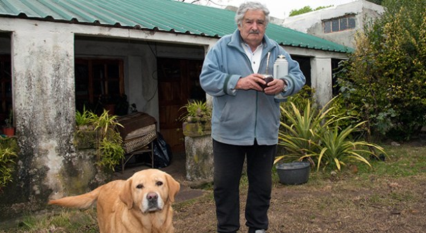 pepe-mujica