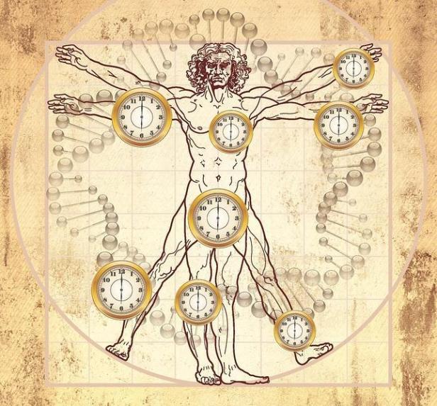 1-uclascientis--644x600