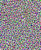 J. CORBO/ T. LAU El diagrama muestra la distribución de los cinco tipos de conos en la retina del pollo