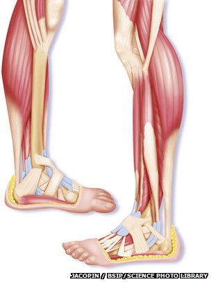 Los pies tienen que aguantar mucho.