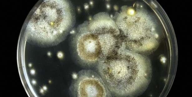 shutterstock_128453189