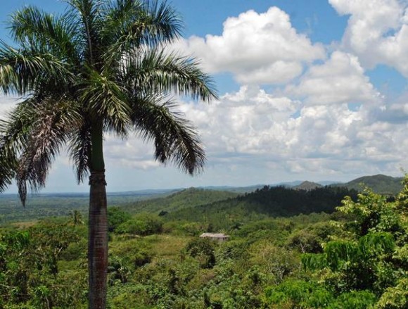 20110603app_05-580x439