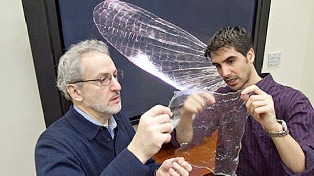 Jon Chase/Harvard University