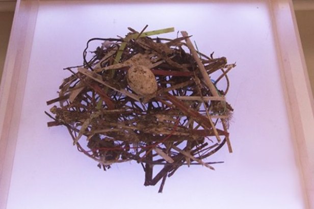 Viejas noticias del presente 3