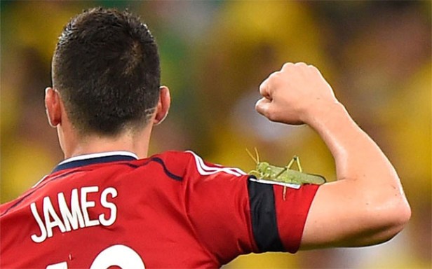 saltamontes-james-rodriguez