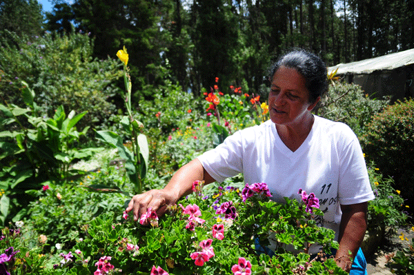 Domingo_10_8_2014@@SILLETEROS-3600