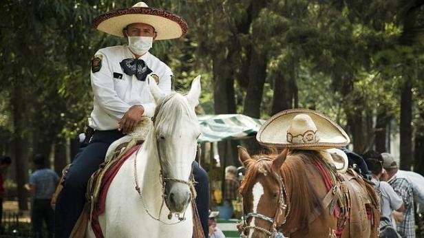 gripe-definicion-virus