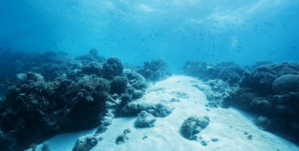 Según científico, el calor “perdido” se encuentra 300 metros bajo el océano Atlántico