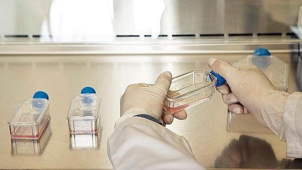 virus-definicion-ebola-investigacion