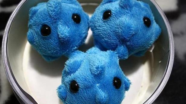 virus-malos-definicion