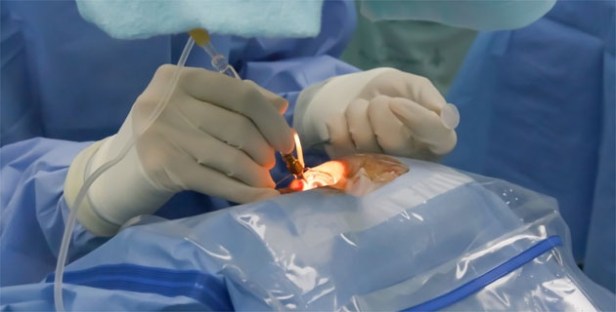 shutterstock_141608644