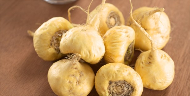 shutterstock_111725501