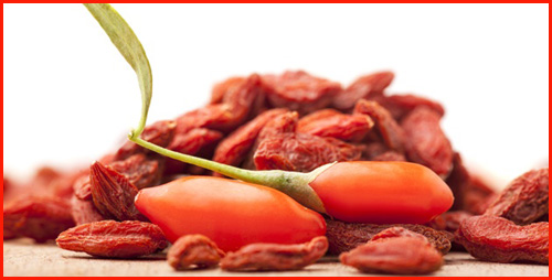 shutterstock_213059329