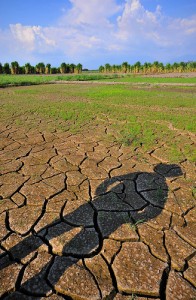 Cambio-Climatico-196x300