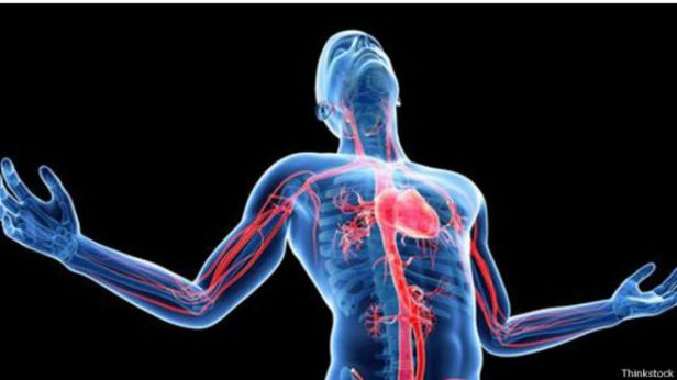 141209154525_corazon_624x351_thinkstock