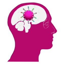 Imagen: António Duarte. Fuente: PhotoXpress.