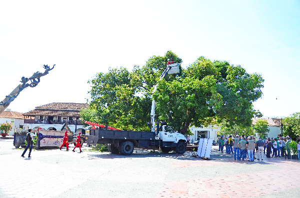 PODA_MANGO_PLAZA_JAIDER