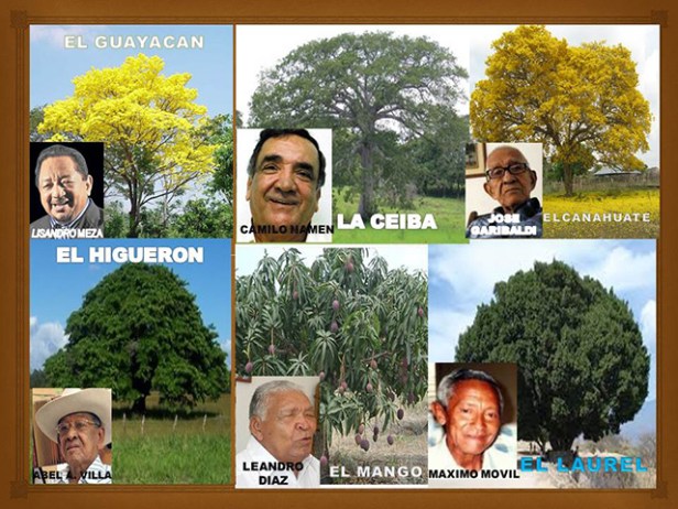 COMPOSITORES DE NATURALEZA
