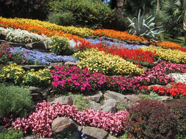 El bosque domesticado 4