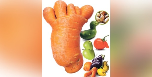 frutica_sy_verduritas