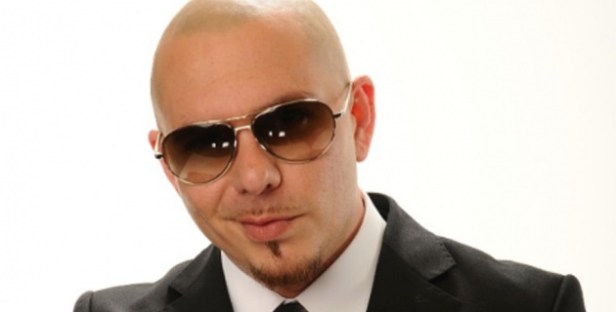 pitbull_copy