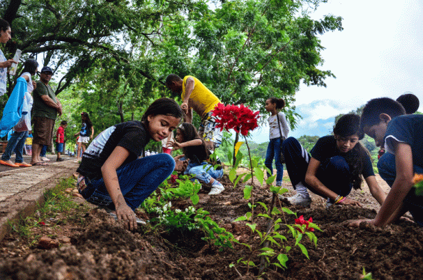 SIEMBRA_TRINITARIAS_PLAYA_RIO_FOTO_JAIDER-2