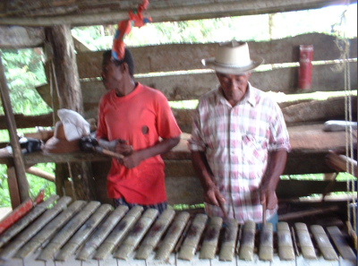 Figure 11 torres marimba