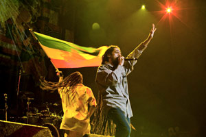 jamaica_reggae_ziggie
