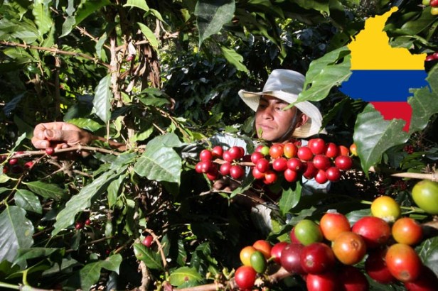 cultura-cafe-colombia