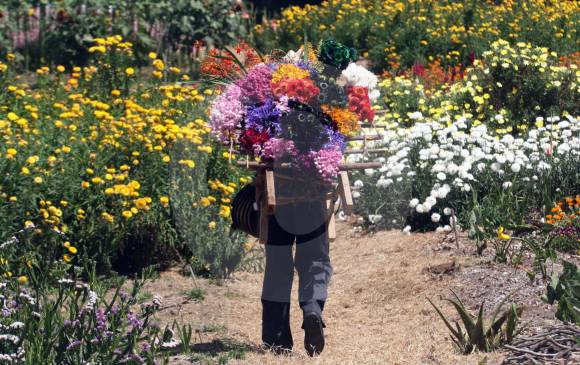 feria-flores-medellin