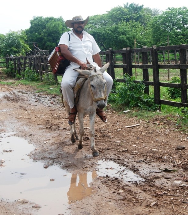 el-vallenato-cl--sico-se-iba-l