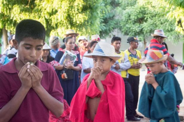 ninos_wayuu_interpretando_instrumentos_tradicioonales_