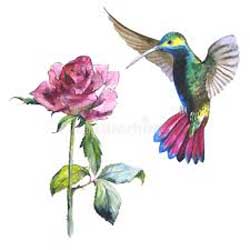 PAJARO Y ROSA