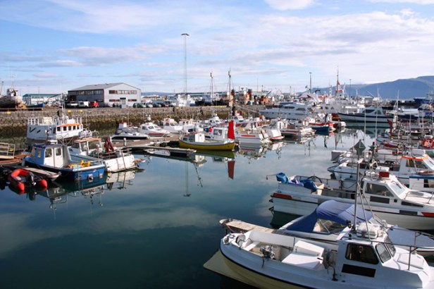 Puerto de Reykjavik