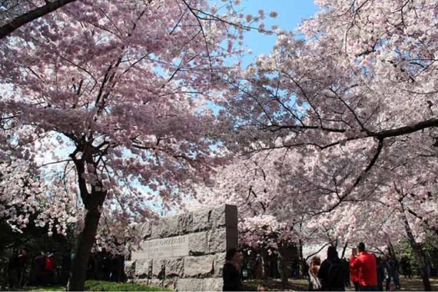 eeuu-primavera-primavera3