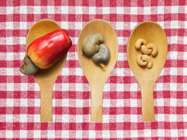 maranon_y_semilla_640x480