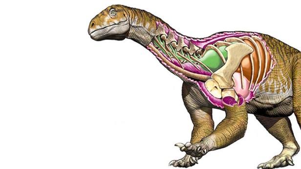 dinosaurio-gogante-argentino