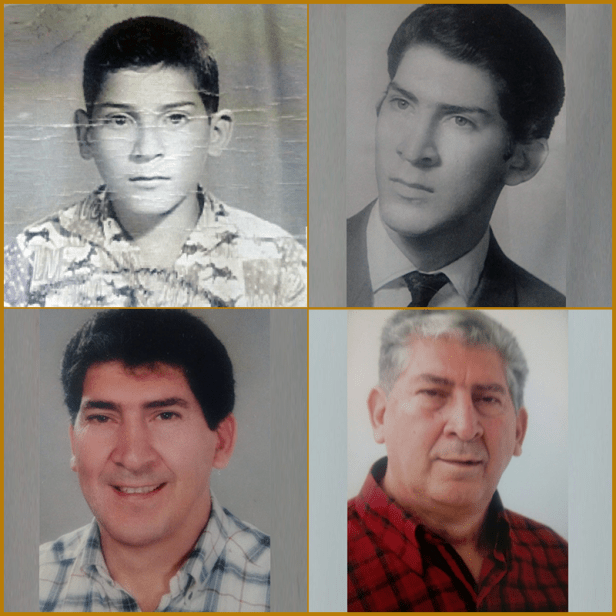 alegrupo-4-800x800px