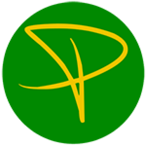 Icono del sitio